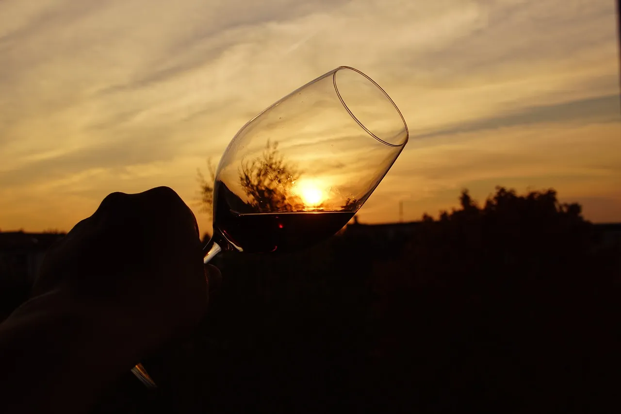 Why Are Smart People All Investing in the Imported Red Wine Market?