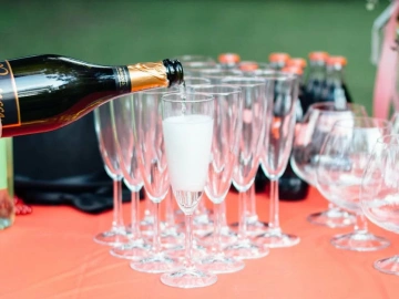 Importing Red Wine Agency: Choosing Poorly Leads to Significant Losses!