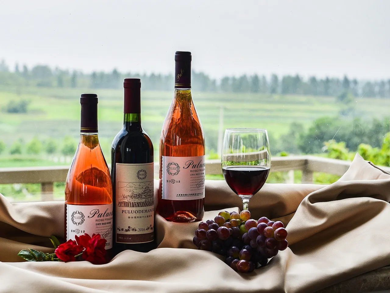 Agence d’importation de vin rouge, lancez un nouveau voyage vers la richesse