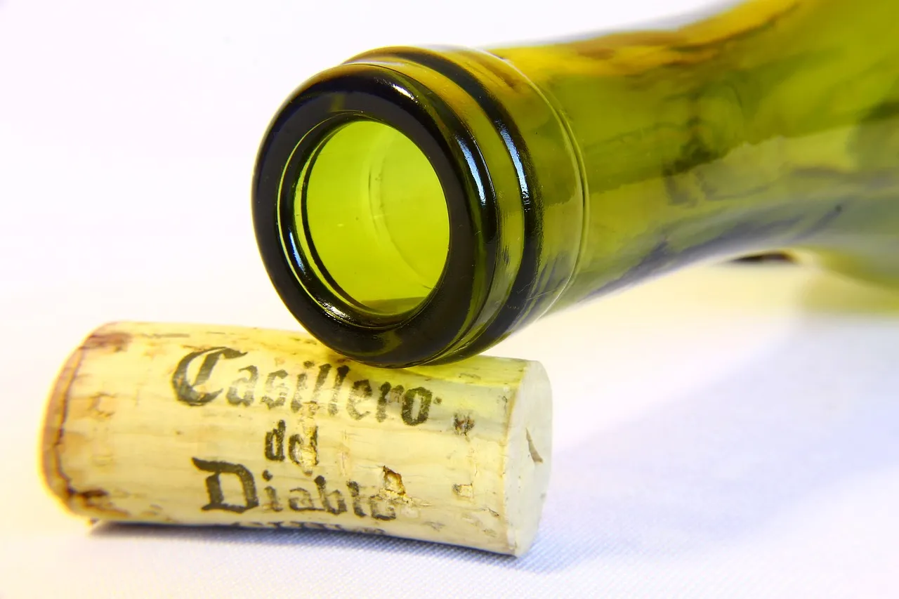 Red wine import customs clearance and transportation are full of challenges, how to break through?