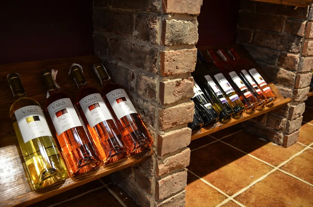 Savez-vous comment réussir en tant qu’agent importateur de vins étrangers ?