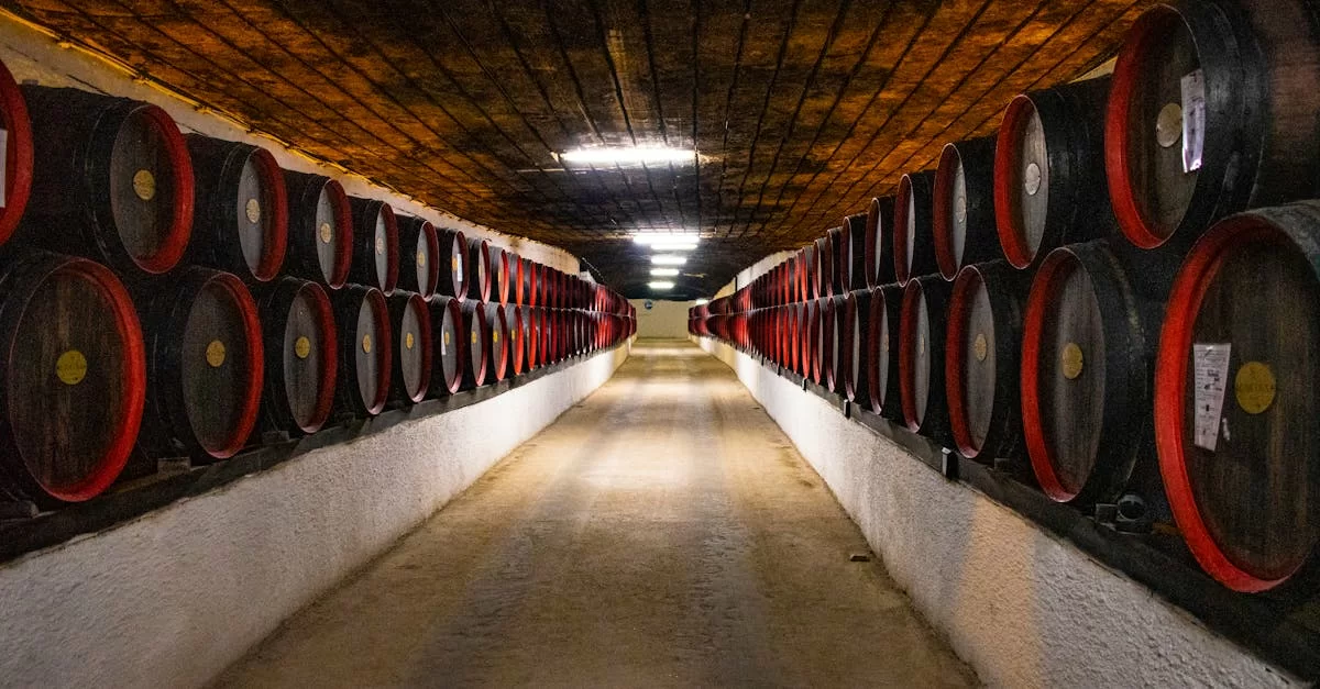 Imported Red Wine Agency: Opportunity or Trap?