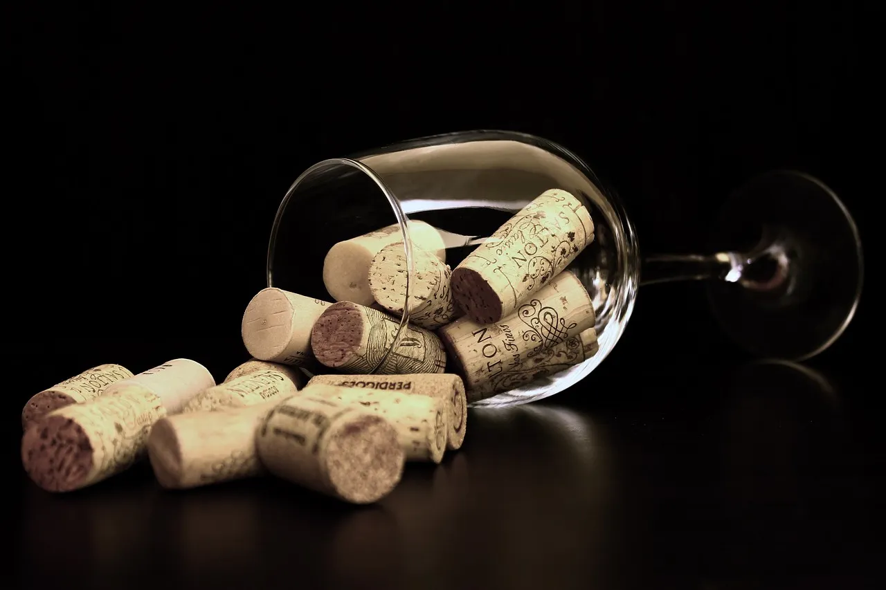 Is Importing Red Wine Agency a Scam or a Gold Mine?