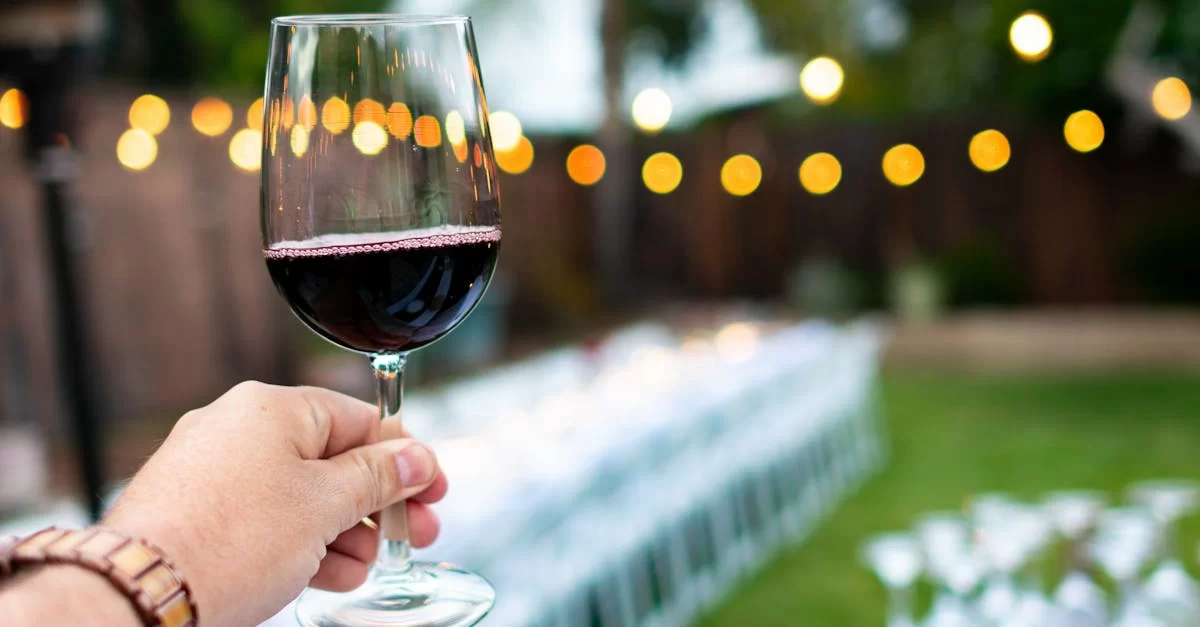 Is Importing Red Wine Too Complex? 5 Survival Rules for Professional Agents