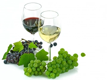 Qingdao Red Wine Import Agency, Things You Didn't Know!