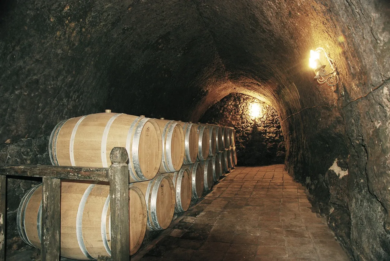 Exploring Shanghai's Red Wine Import Agencies: What Makes Zhongmaoda Unique?