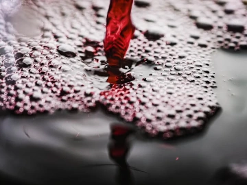 Bordeaux Red Wine Agency: The Next Ten Million-Level Business Opportunity?