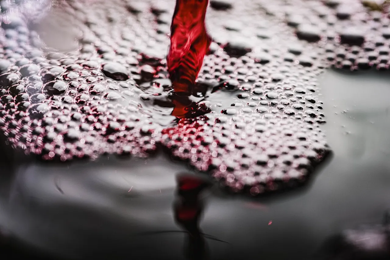 Why is red wine agency the next trillion-dollar track?