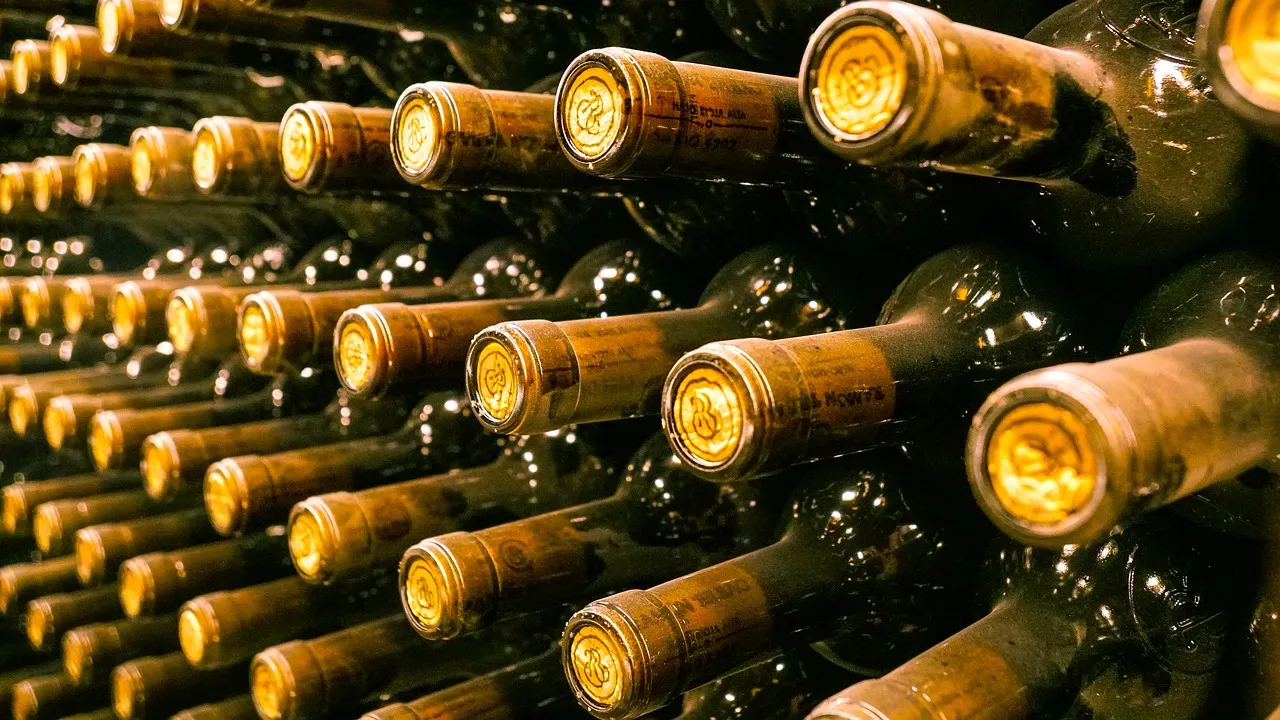 Seize the Imported Red Wine Agency Opportunity and Embark on a New Journey to Wealth