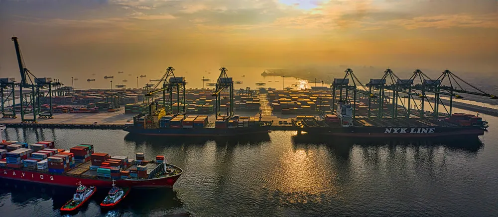 Importation de vin rouge à Shanghai, que savez-vous ?