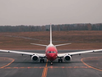 Qingdao Red Wine Import Agency, Things You Didn't Know!