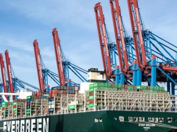 Import von Pigmenten blockiert? Leitfaden eines erfahrenen Zollagenten aus Shanghai zur Vermeidung von Fallstricken